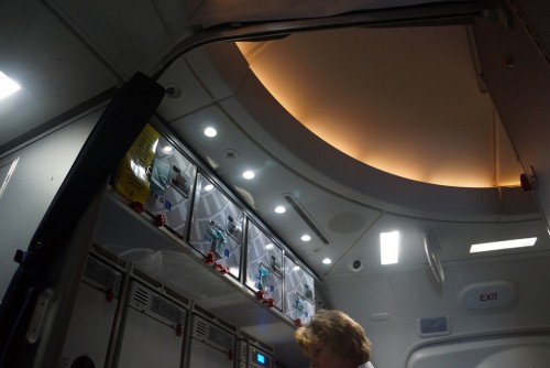 The LED lighting really sets the mood on the 787 Dreamliner. Image by Chris Sloan / Airchive.com.