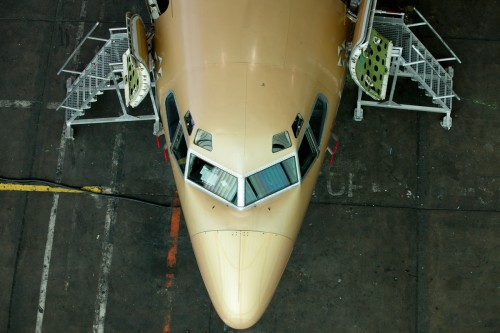 The nose of the Golden Plane from up above.
