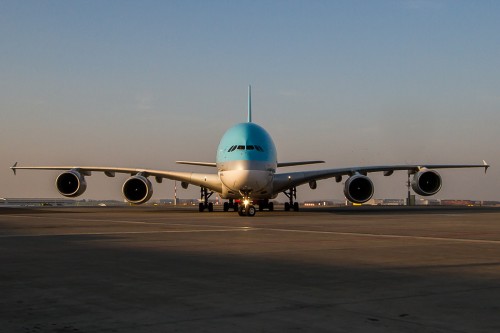 Head on with the big blue whale Photo: Jacob Pfleger | AirlineReporter