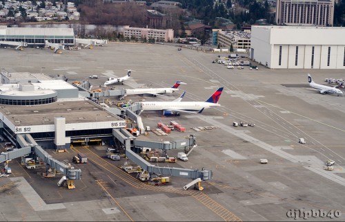 Delta and Alaska in Seattle - Photo: Daniel T Jones