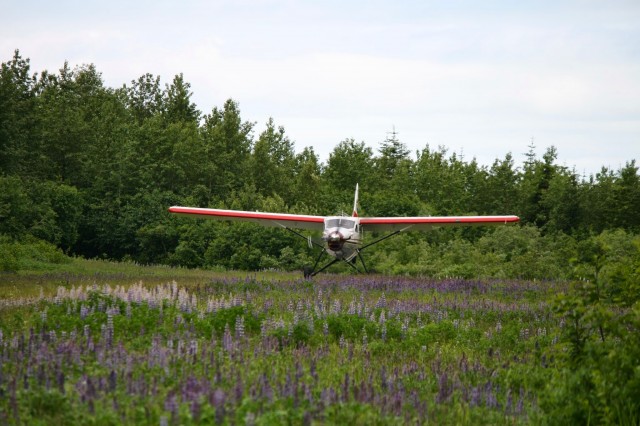 de Havilland Otter on Approach to Dry Bay