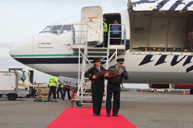 A kiss welcomes the first Copper River Salmon to Seattle. 