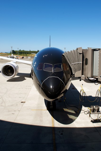 Windscreen-level with a 787-9. Photo - Bernie Leighton |AirlineReporter