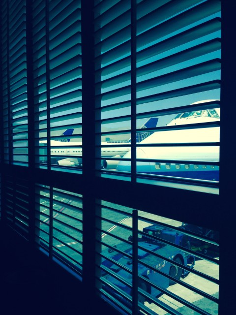 Pretty maids all in a row - Awesome view of 747s from the United Global First Lounge - Photo: Blaine Nickeson | AirlineReporter