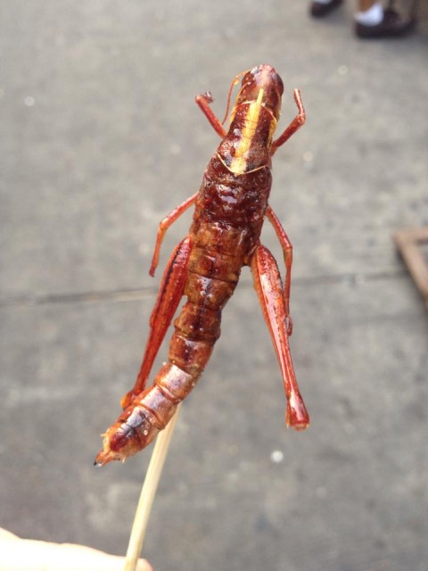 Yup. I ate this bug. It was big. It was grainy. It was not delicious - Photo Sery E Kim