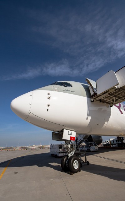 A very smart looking nose section complete with the trademark A350 "bandit" wrapping around the cockpit windows Photo: Jacob Pfleger | AirlineReporter