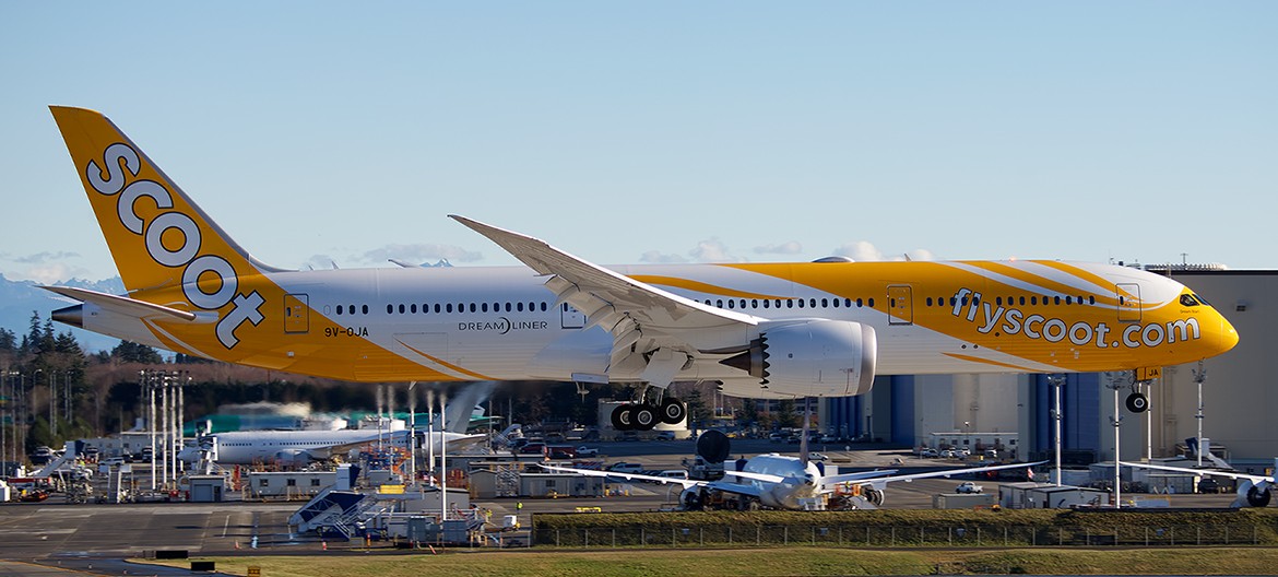 Scoot vs Spirit. Their liveries are different enough, but it goes deeper than that - Photos: Bernie Leighton & Spirit Airlines