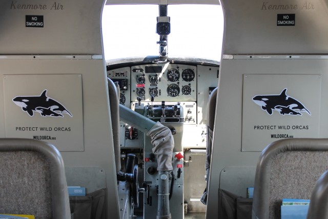 The special embroidery on the bulkhead of the Wild Orca seaplane. Seatback pockets also contain educational materials. Photo: Lee Zerrilla