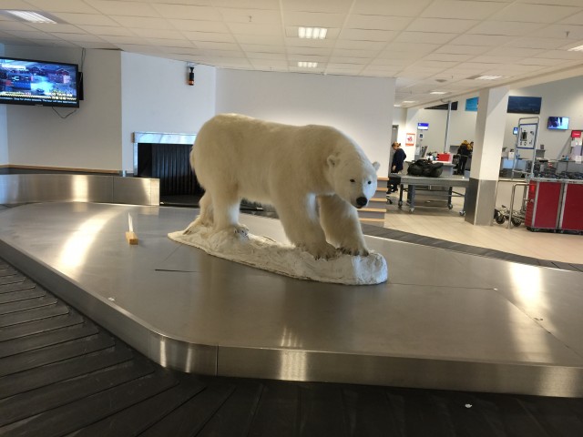 Welcome to bear country. Lufthavn Longyearbyen is located on a peninsula called Hotellnesset. - Photo: Bernie Leighton | AirlineReporter