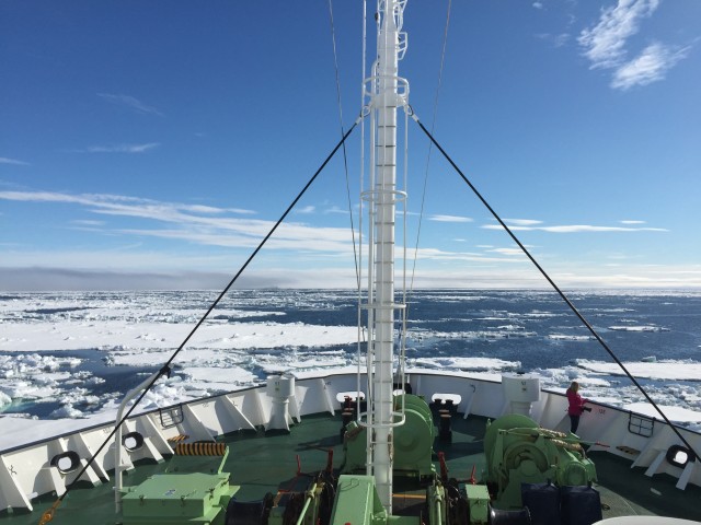 There are complex ecological reasons for this fact, however: if you want to go see Polar Bears- you need sea ice - Photo: Bernie Leighton  | AirlineReporter