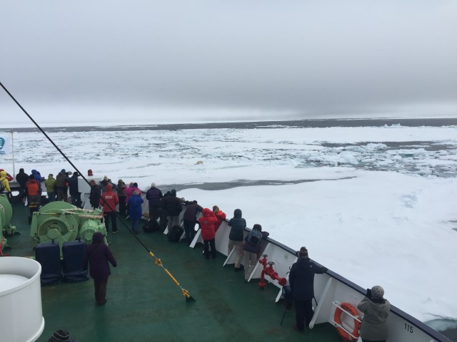 Polar Bear sightings lead to packed bows - Photo: Bernie Leighton | AirlineReporter