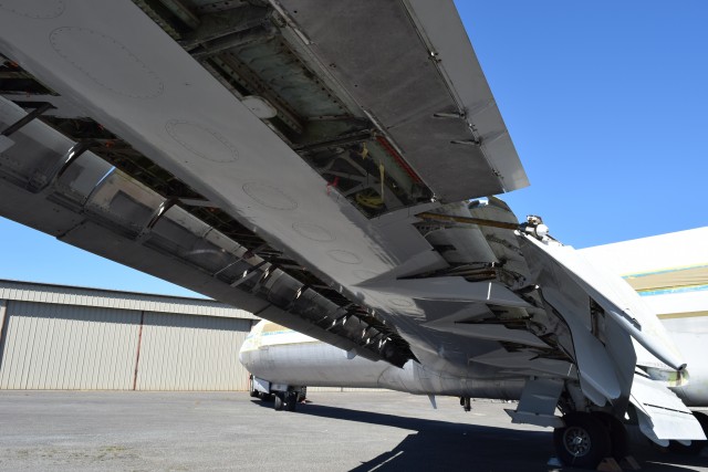 The underside of the wing has already been painted, since it's always in the shade. Also notice the mesh needed to keep out the birds - Photo: Lauren Darnielle | AirlineReporter