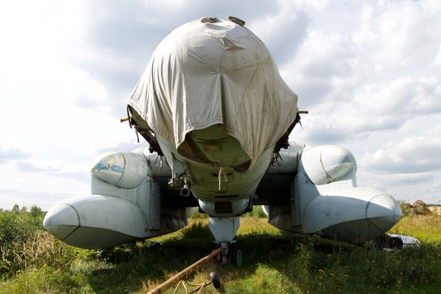 The more I read online, the more I realize many people think all Russian planes look like this Bartini Beriev VVA-14, and are full of goats - Photo: Bernie Leighton | AirlineReporter