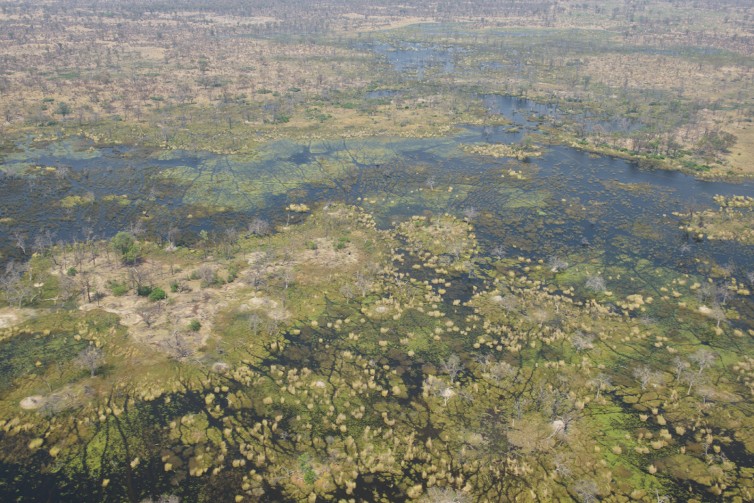The Okavango Delta is so cool looking! Photo- Bernie Leighton | AirlineReporter