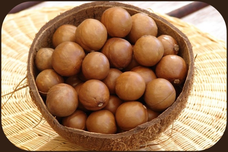 This is (macadamia) nuts! - Photo: Tatters | FlickrCC