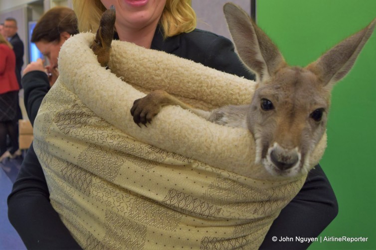 The star of the show: Sydney the kangaroo helps celebrate Americana's inaugural LAX-SYD flight.