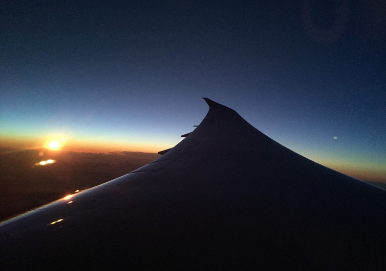 The wing of the 787 - Photo: Hans Cathcart