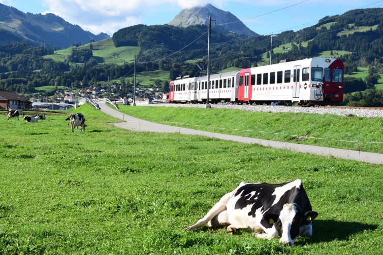 Quite possibly one of the most Swiss photos ever taken. Photo: John Nguyen | AirlineReporter