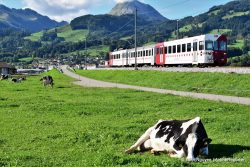 The Swiss Alps - Photo recovered by Kroll Ontrack