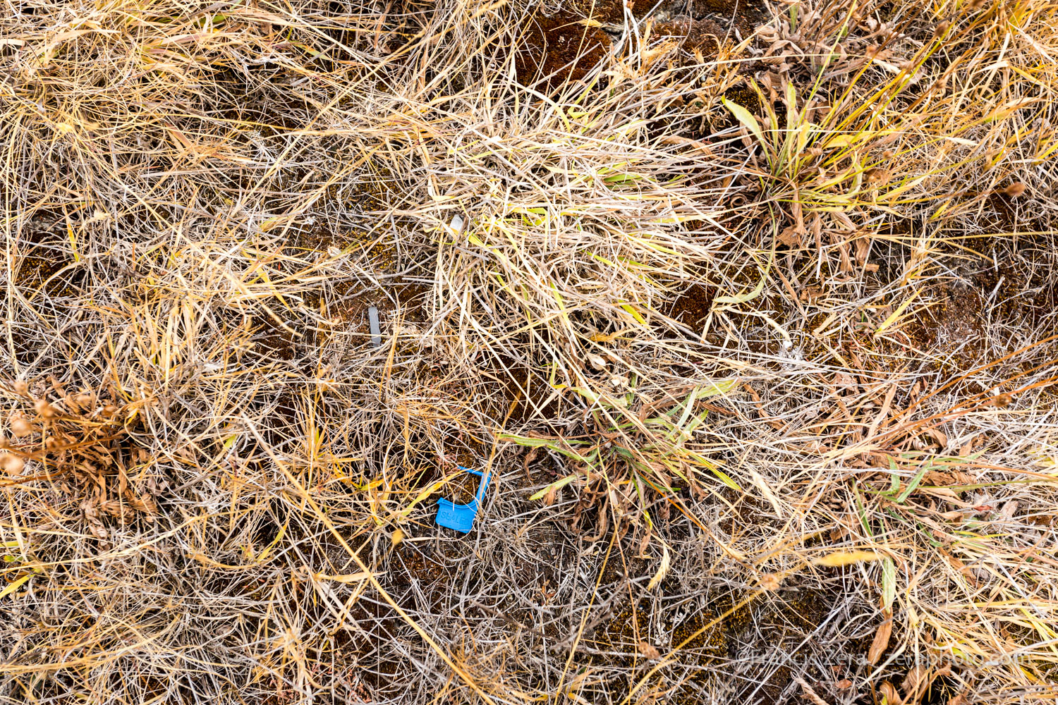 foreign object debris AirlineReporter