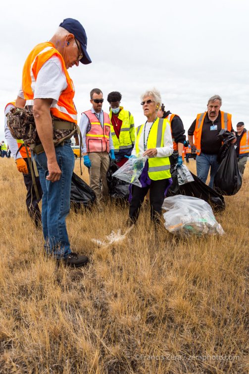 The remains of a barn owl were bagged for later identification.