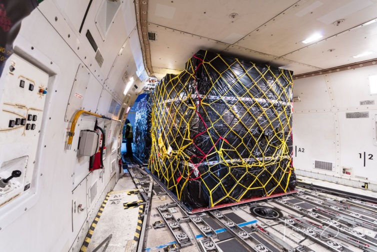 Cargo is organized onto pallets, which are moved into position inside the plane on an ingenious system of motorized rollers. Once in position, the pallets are locked into place. These pallets are being offloaded via the nose door.