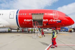 Port workers inspect the plane's cargo hold.