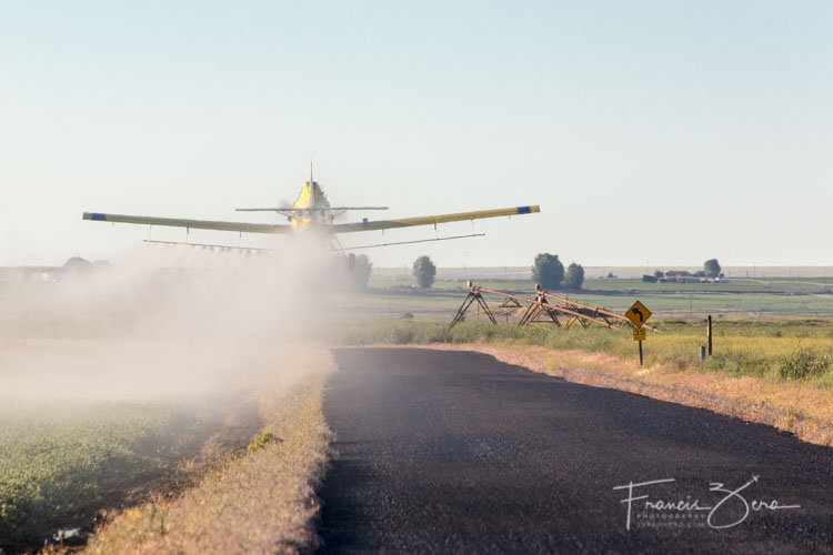 "From the ground perspective, it may look like we’re being crazy, but I tell you everything is preplanned with GPS, even shape-planned, and fields are pre-scouted to make sure there are no surprises before we send the airplane out," Morse said.