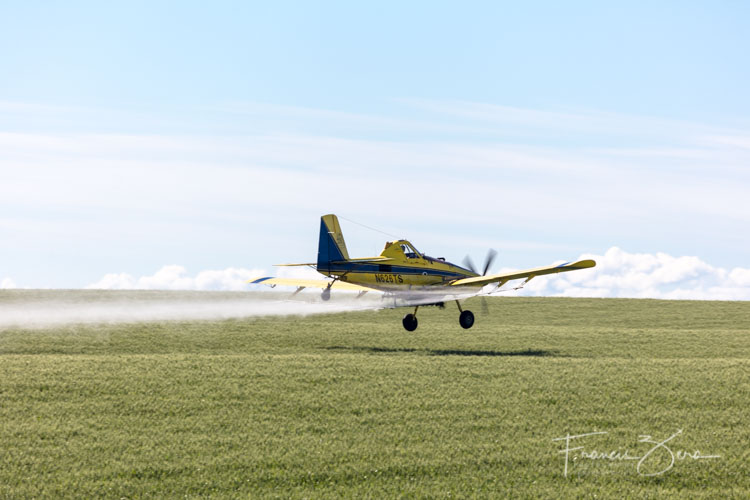 Flying low over the crops helps reduce the drift of the spray. And it's very cool to watch.