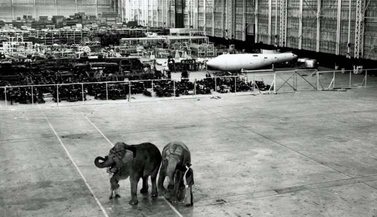 Elephants walk around inside the factory - Photo: The Boeing Company