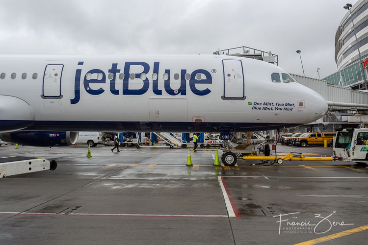 JetBlue loves to name it's jets, too. This one is called "One Mint, Two Mint, Blue Mint, You Mint."