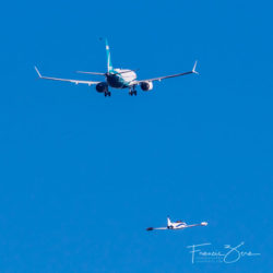 The MAX 7 and a T-33 chase plane head north over Lake Washington.