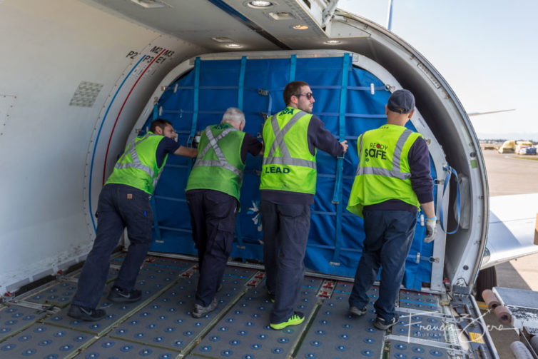 Once on board, each pallet is pushed into place by hand - the cargo-hold floor is covered with caster wheels.