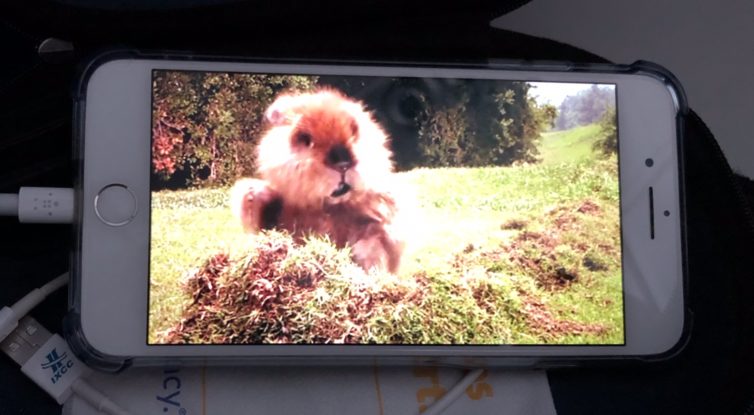 Watching Caddyshack at 30K ft. Photo: - JL Johnson