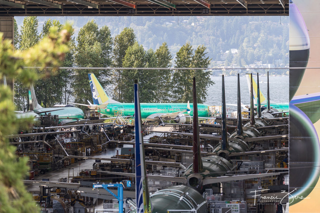 All those 737 tails lined up in the Boeing factory. 