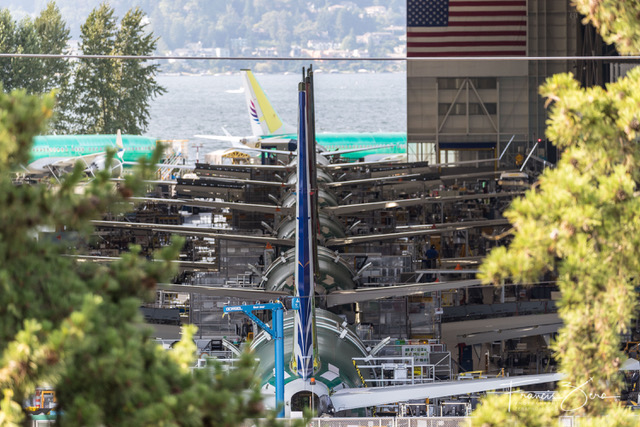 All the 737s lined up in the factory.