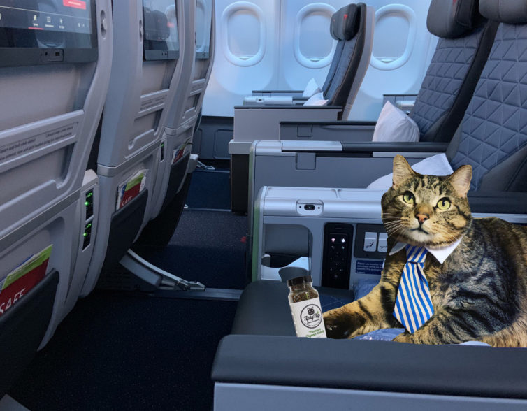 A380cat has an important business meeting, so classed it up with a tie and Delta's Premium Select. 