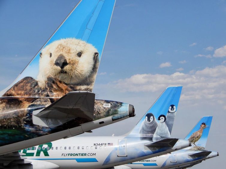 Some cuties on on the tails of aircraft - Photo: Frontier Airlines