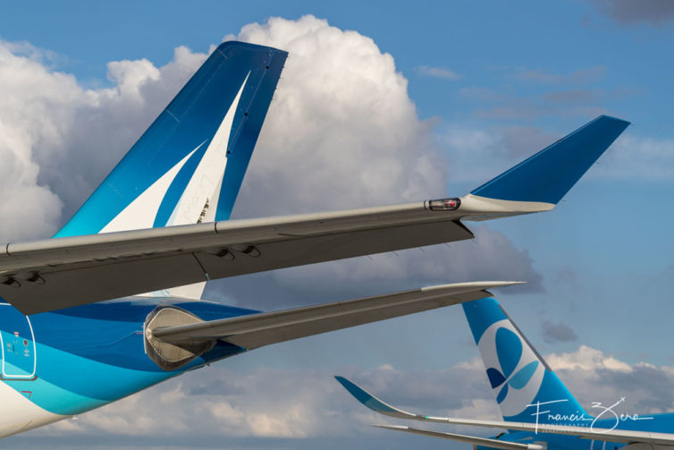 A French Bee A350 is parked alongside sister airline Air Caraibes at Orly Airport