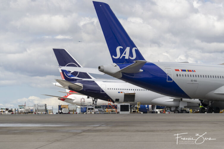 A row of aircraft tails at the S gates at SEA